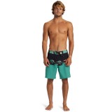 QUIKSILVER SURFSILK PANEL 18 AQYBS03656-KVJ6 Πολύχρωμο Εικόνα 2