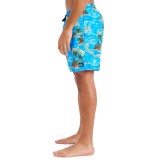 QUIKSILVER EVERYDAY STRAIGHT VOLLEY 17 EQYJV04100-BLQ6 Μπλε Εικόνα 1