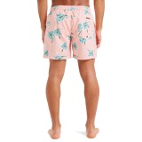 QUIKSILVER EVERYDAY STRAIGHT VOLLEY 15 EQYJV04121-MEF7 Ροζ Εικόνα 0