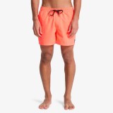QUIKSILVER EVERYDAY SOLID VOLLEY 15 EQYJV04120-MKZ0 Orange Image 