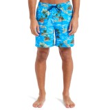 QUIKSILVER EVERYDAY STRAIGHT VOLLEY 17 EQYJV04100-BLQ6 Μπλε Εικόνα 