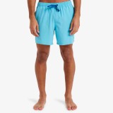 QUIKSILVER SURFSILK SOLID VOLLEY 16 EQYJV04118-BHA0 Τιρκουάζ Εικόνα 