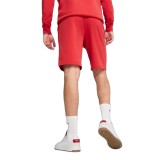 PUMA ESS 2 COLOR NO. 1 LOGO SHORTS 10 TR 684715-15 Red Image 0