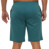 PUMA ESS 2 COLOR NO. 1 LOGO SHORTS 10 TR 684715-41 Petrol Image 0