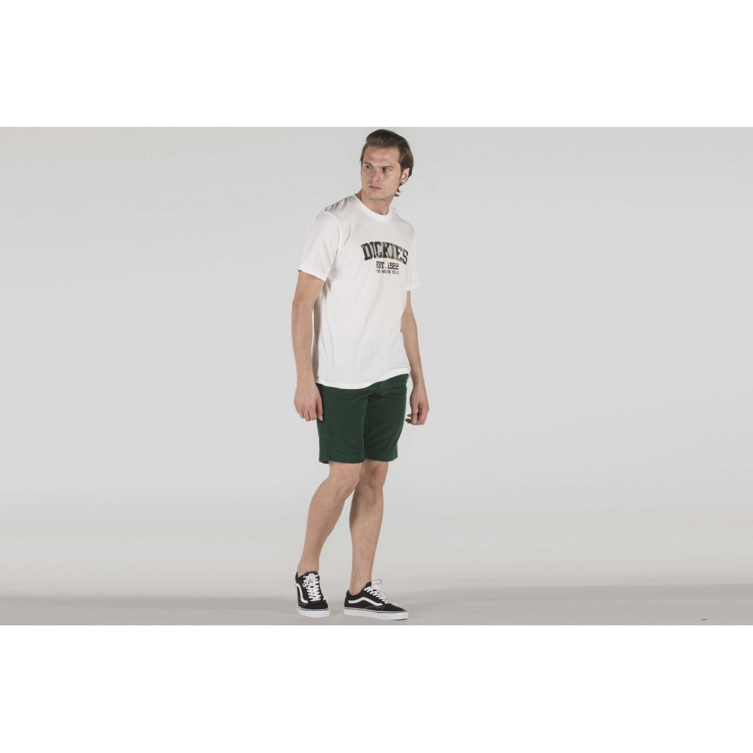 DICKIES FABIUS 01-220144-SCOUT Πράσινο