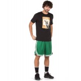 NIKE BOSTON CELTICS ICON EDITION SWINGMAN MEN'S NBA SHORTS 18 AJ5587-312 Πράσινο Εικόνα 2