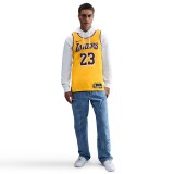 NIKE LAL MNK DF SWGMN JSY ICN 22 DN2009-733 Κίτρινο Εικόνα 6