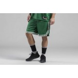 NIKE BOSTON CELTICS ICON EDITION SWINGMAN MEN'S NBA SHORTS 18 AJ5587-312 Πράσινο Εικόνα 