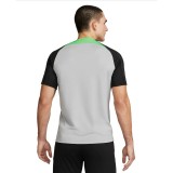 NIKE LFC M NK DF JSY SS STAD AW FN8780-322 Βεραμάν Εικόνα 0