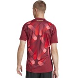 adidas Performance DFB A JSY JF2605 Λευκό Εικόνα 0