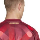 adidas Performance DFB A JSY JF2605 Λευκό Εικόνα 2