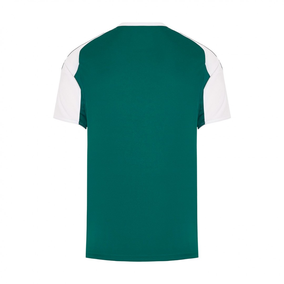 adidas Performance PANATHINAIKOS F.C. HOME JERSEY 2025-26 54201001 Green