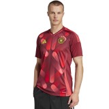adidas Performance DFB A JSY JF2605 Λευκό Εικόνα 
