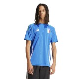 adidas Performance FIGC H JSY IN0657 Μπλε Εικόνα 