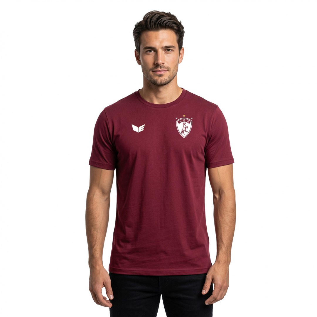 ERIMA AEL FC INTRO SHIRT FUNCTION 2082585-BORDEAUX Crimson