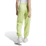adidas sportswear W BLUV Q3 FT PT IJ8768 Πράσινο Εικόνα 0