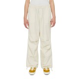 DICKIES FISHERSVILLE PANT W DK0A4YV4F90-F90 Εκρού Εικόνα 