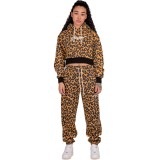 GRIMEY WESTBOUND GIRL CROP HOODIE GGCCH357-LPD Καφέ Εικόνα 3
