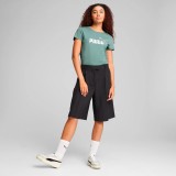 PUMA ESS METALLIC NO. 1 LOGO TEE 631536-30 Βεραμάν Εικόνα 1