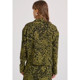 FUNKY BUDDHA FBL010-104-05-OLIVE Χακί Εικόνα 2