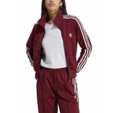 adidas Originals FIREBIRD TT  PB IB7406 Μπορντό Εικόνα 1