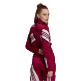 adidas Originals DANIELLE CATHARI TRACK TOP GD2410 Βυσσινί Εικόνα 0