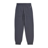 CHAMPION 306499-ES508 Coal Image 0