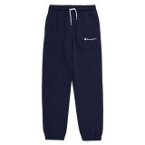 CHAMPION 306582-BS501 Blue Image 