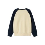 NAME IT NKMVILDAR LS SWEAT BOX BRU 13234447-4880055 Καφέ Εικόνα 0
