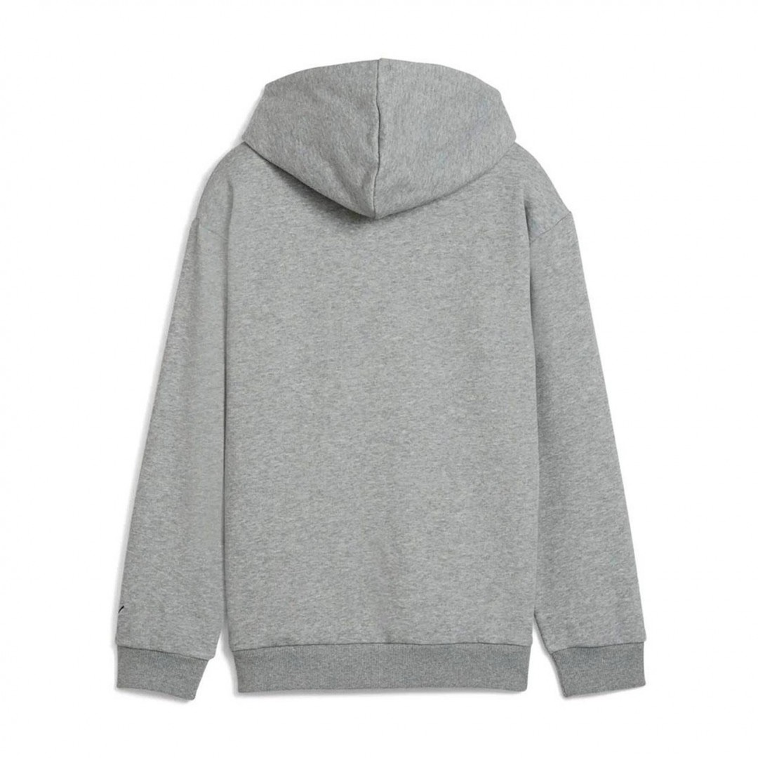 PUMA BASKETBALL HOOPSTELLATIONS HOODIE FL B 688976-03 Grey