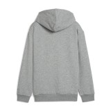 PUMA BASKETBALL HOOPSTELLATIONS HOODIE FL B 688976-03 Grey Image 0