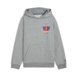PUMA BASKETBALL HOOPSTELLATIONS HOODIE FL B 688976-03 Grey Image 