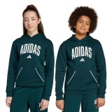 adidas sportswear J CLGT OH FL JV7337 Pine Image 3