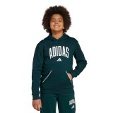 adidas sportswear J CLGT OH FL JV7337 Pine Image 