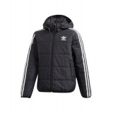 adidas Originals PADDED JACKET GD2699 Black Image 