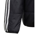 adidas Originals PADDED JACKET GD2699 Black Image 1
