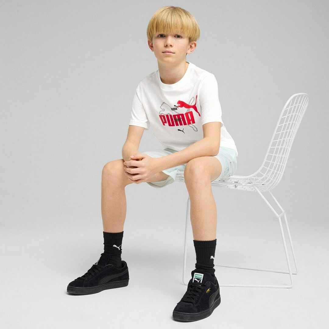PUMA ESS LOGO LAB SUMMER TEE B 685795-02 White