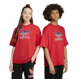 adidas Originals TEE JV8556 Βordeaux Image 3