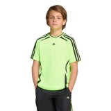 adidas Originals TEAMGEIST TEE JY6318 Λαχανί Εικόνα 
