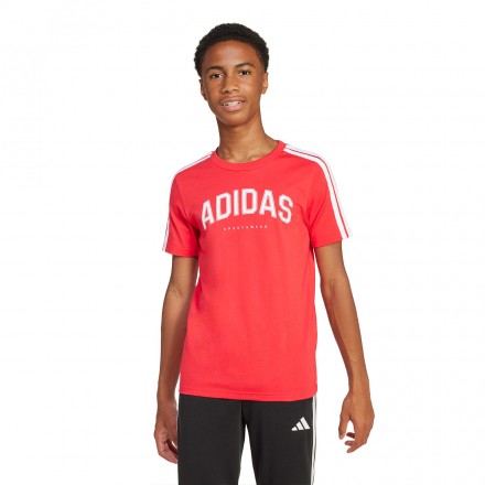 adidas sportswear J C COLLEG TEE JI6673 Red