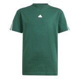adidas sportswear U FI 3S T IX3652 Πράσινο Εικόνα 