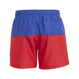 adidas Performance CB SWIM SHORTS IC7698 Πολύχρωμο Εικόνα 0