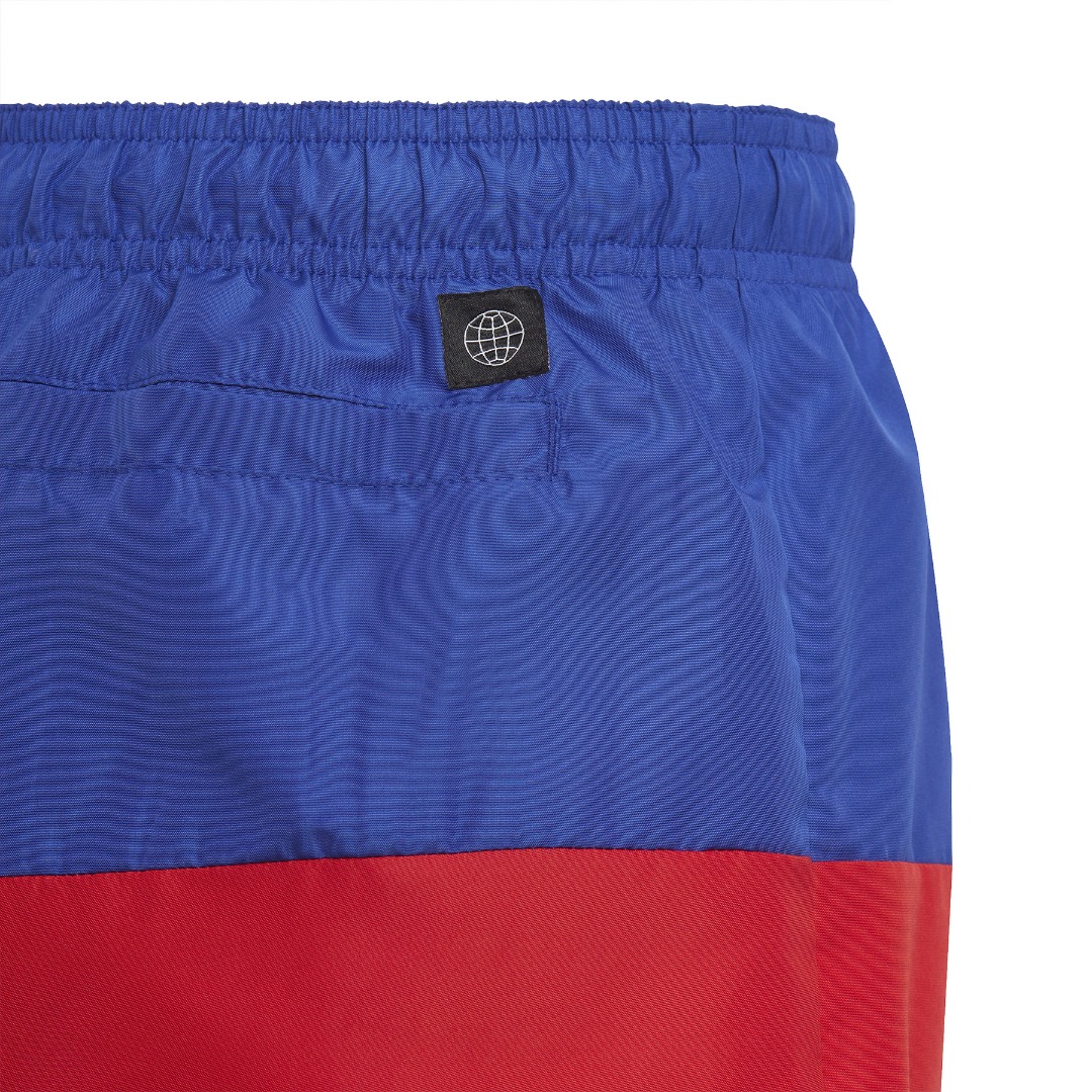adidas Performance CB SWIM SHORTS IC7698 Πολύχρωμο