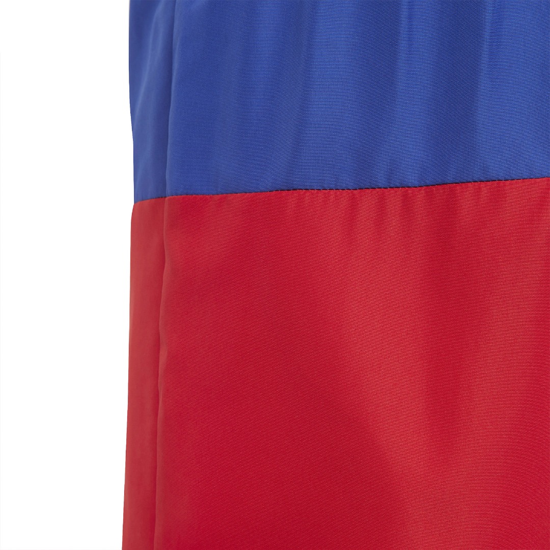 adidas Performance CB SWIM SHORTS IC7698 Πολύχρωμο