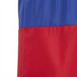 adidas Performance CB SWIM SHORTS IC7698 Πολύχρωμο Εικόνα 3