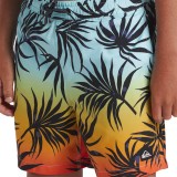 QUIKSILVER EVERYDAY MIX VOLLEY YTH 14 AQBJV03053-RQC6 Colorful Image 2