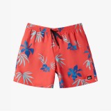 QUIKSILVER EVERYDAY MIX VOLLEY YTH 14 AQBJV03053-RQC6 Colorful Image 4