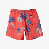 QUIKSILVER EVERYDAY MIX VOLLEY YTH 14 AQBJV03053-RQC6 Colorful Image 5