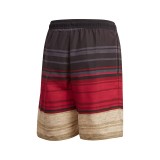 adidas Performance DFB CLX SH Y FS2323 Colorful Image 0
