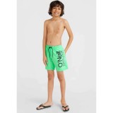O'NEILL O'RIGINALS CALI 14 SWIM SHORTS 4800083-16043 Veraman Image 2